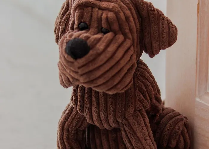 A Avec Terrasse Ensoleillee Daire